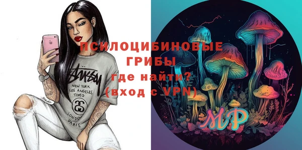 соль ск Алзамай