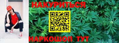 альфа пвп Заводоуковск